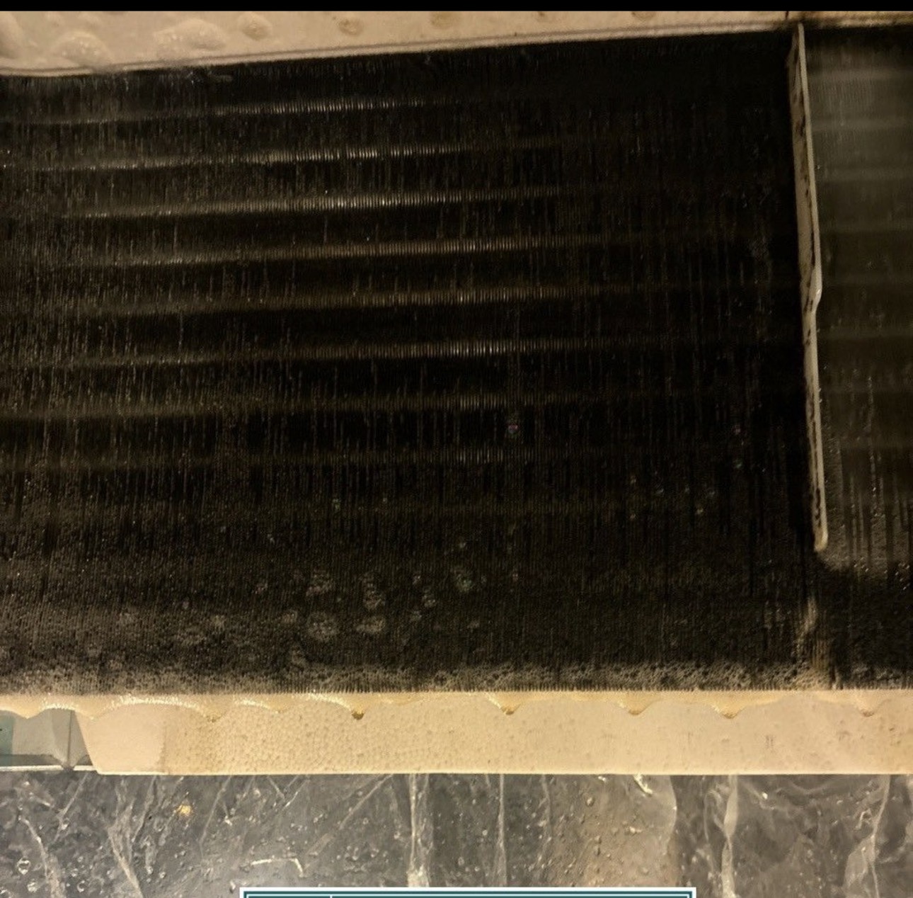 リブクリーンサービス2026年2月